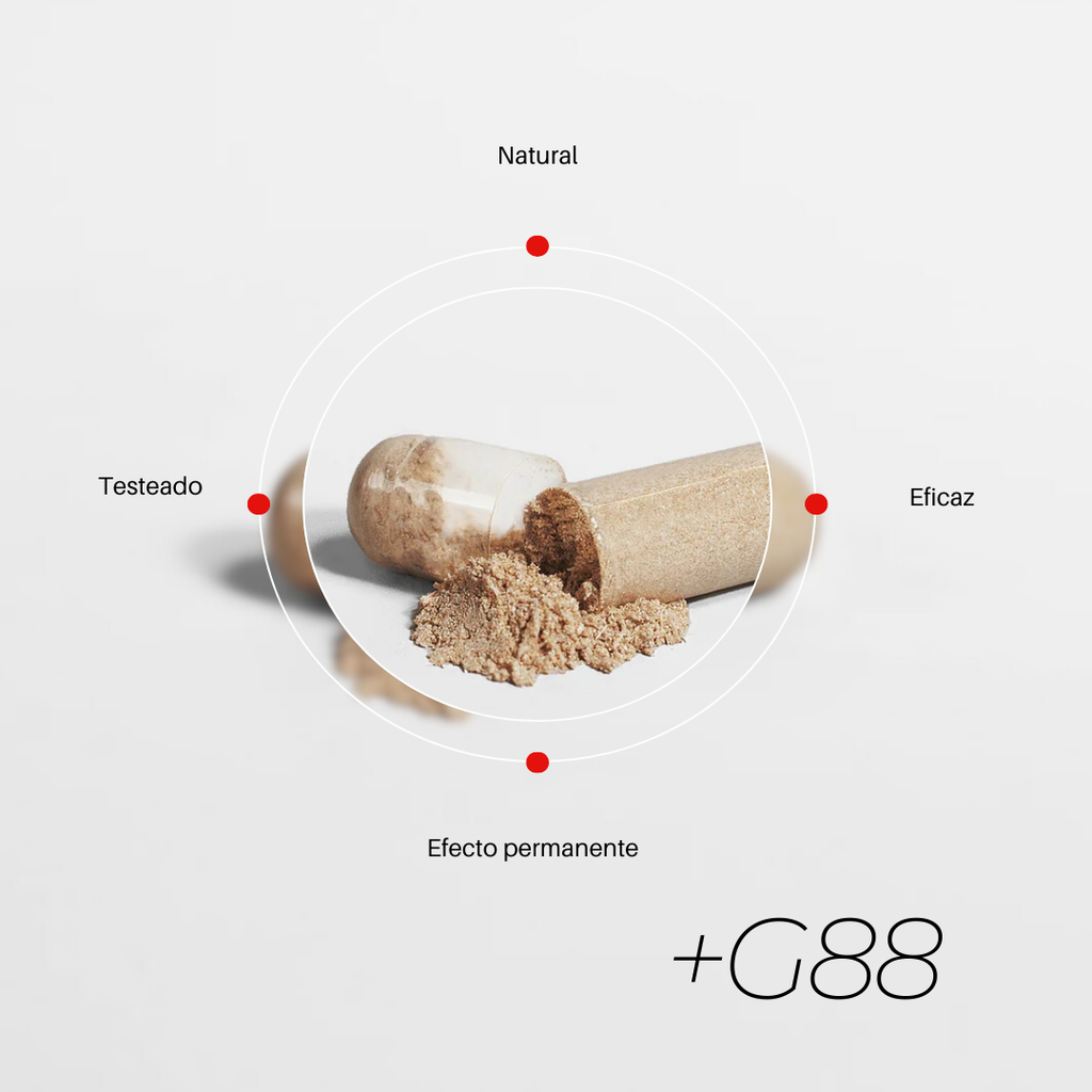 G88